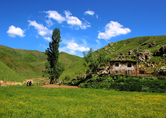 “Kabuslarım yıllar sonra köyüme gidince son buldu”